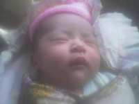 Alya 87